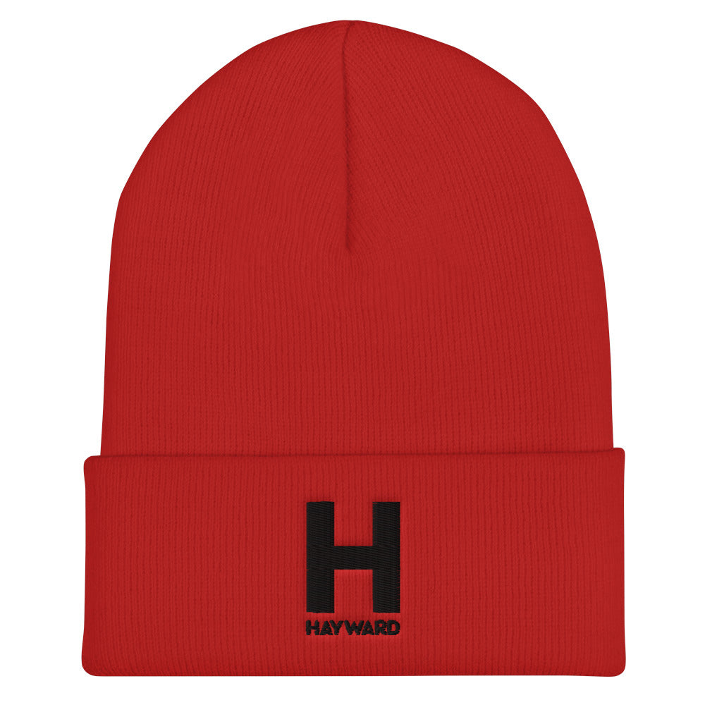 Hayward Black Embroidered Cuffed Beanie